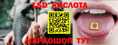 прущие грибы Гагарин