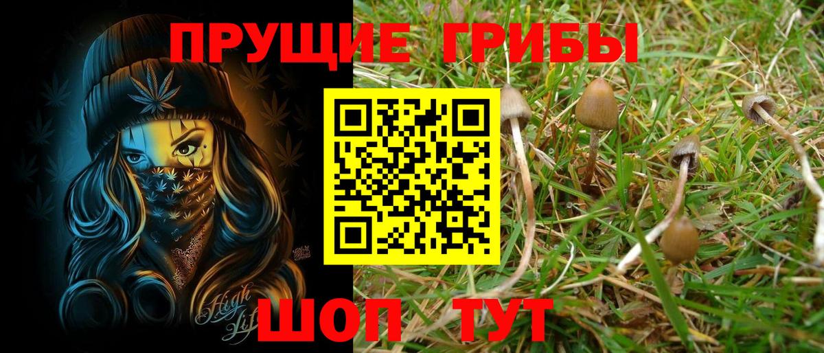 Псилоцибиновые грибы Psilocybine cubensis  Вход с VPN  Москва 
